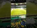 Marcos fala se prefere o Alianz ou Parque Antártica  ... #palmeiras #brasil #futebol #brasileirão