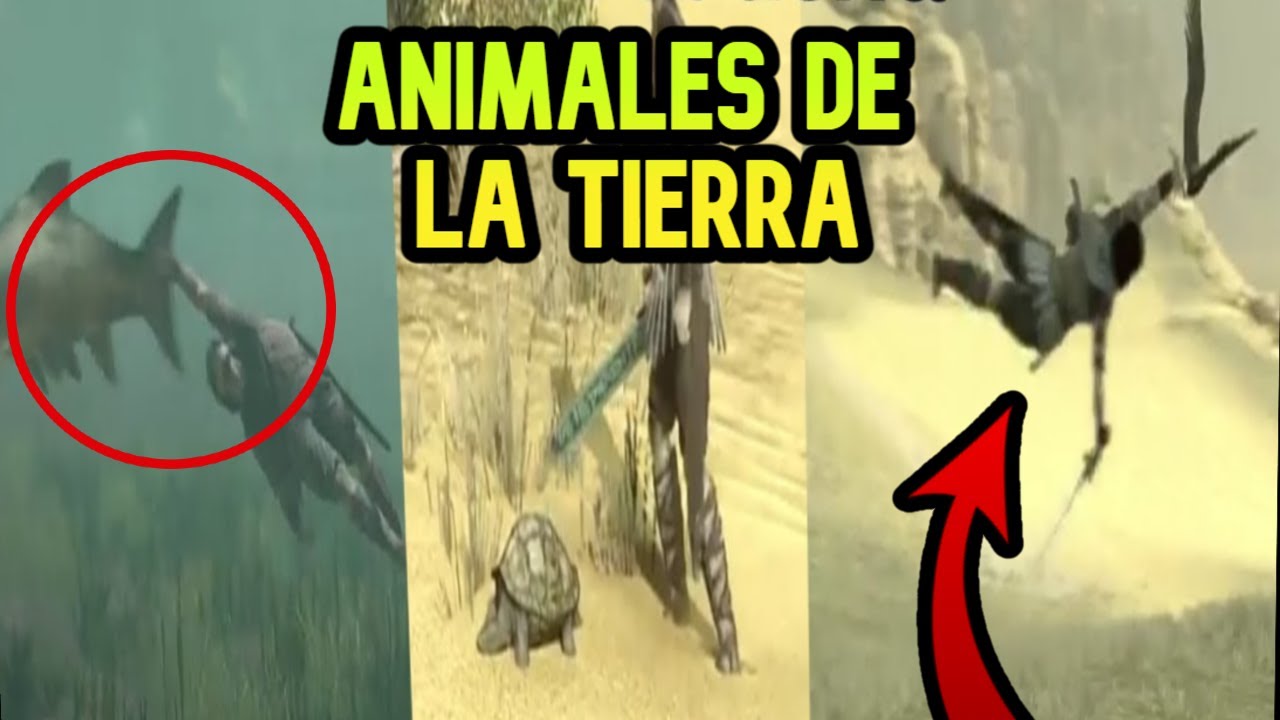 Shadow of the Colossus Remake trofeo Animales de la tierra