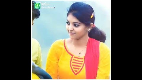 Govind Rathva New timli Gujarat@SandipRathva.Official WhatsApp 😍 Status2023 Remix Dj timli status2023