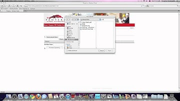 Adding files to a Project