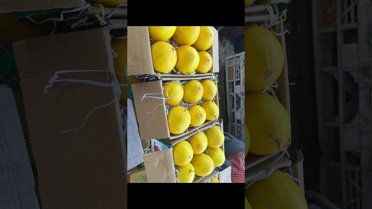 "Discover the Magic of Nagpuri Oranges: A Deep Dive into the Fruit Plant That's Taking Over Gardens!