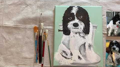 Cockapoo painting time lapse video