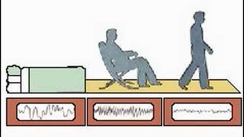 How the Body Works An EEG: Brain Waves