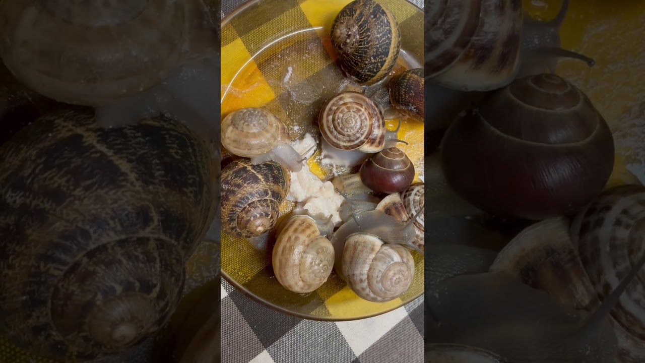 La familia crece 😄 