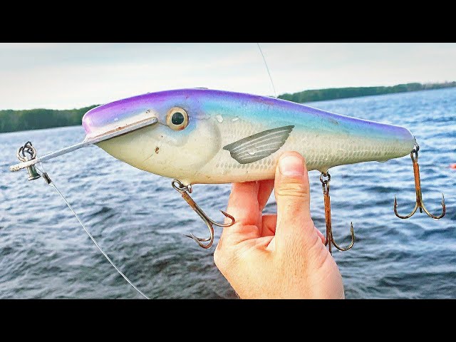 Big Fish Lures -  UK