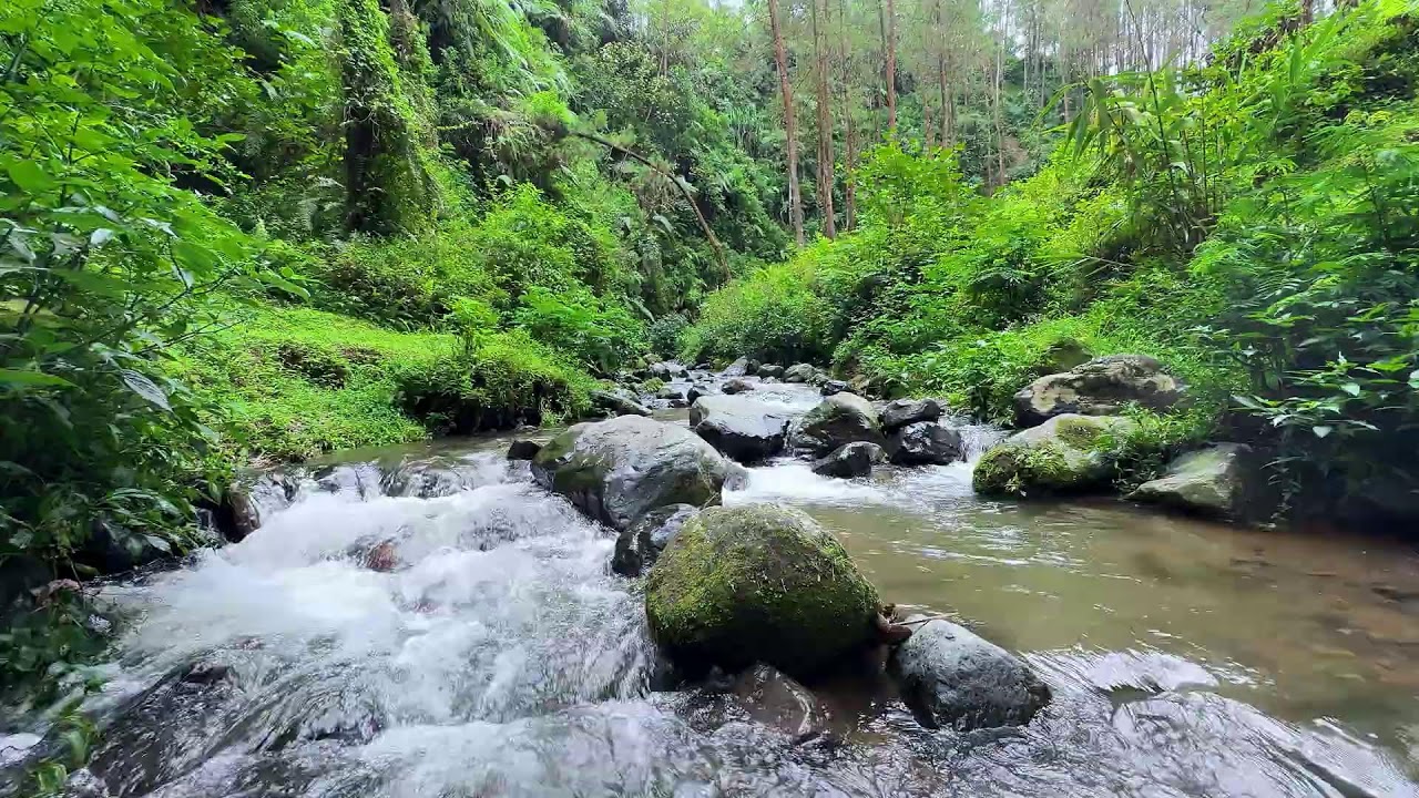 Breathe more freely with gentle river flow in a cool forest stream to ease your thoughts tonight