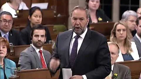 Tom Mulcair stands up for small businesses