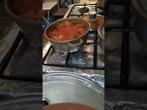 11 November 2024 11 November 2024