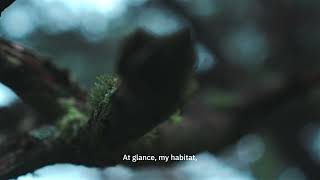 Trailer Muga, when she stops flowing so will we