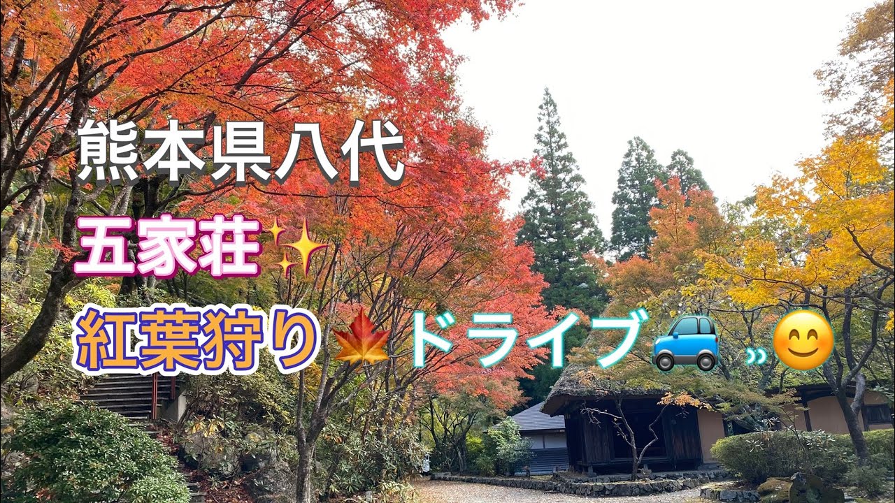 【九州Drive】熊本県八代市泉町『五家荘✨️紅葉狩り🍁drive🚙 ⸒⸒😊』