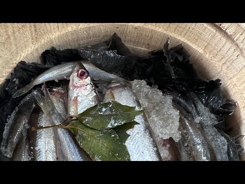 Сосьвинская сельдь 🐟🔥