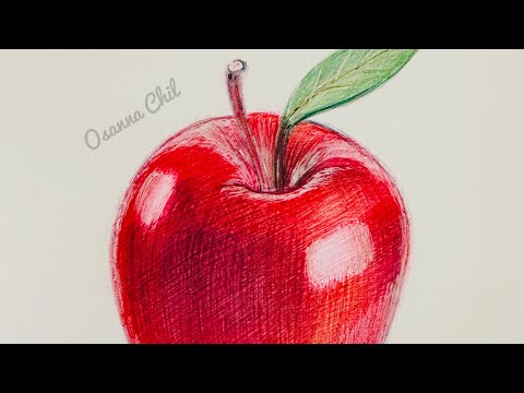 絵画 Apple flk042118 絵画 Apple flk042118 絵画 Apple flk042118 Vintage Apple
