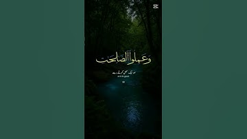 🤲 #القرآن_الكريم #duet  تلاوة عطرة من الذكر الحكيم لا حزن يبقى والقرآن يتلى #cute #اكسبلور