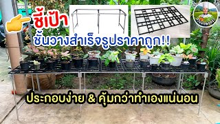 ชั้นวางของตลาดนัด เหล็กซิ้งค์-เหล็กตลาดนัด ดัดแปลงมาทำชั้นวางต้นไม้| สวนผักพ่อครัว