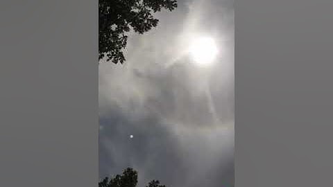 Luminaries and Minnie Faces within " Angelic Particle Matrix!" ✨ Now. 💫Let