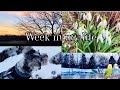 From Winter storms to beautiful spring in just one week #spring #sunset #friedchicken #winter