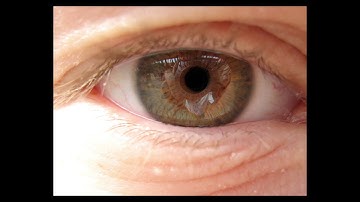 What is Bioinformatics?