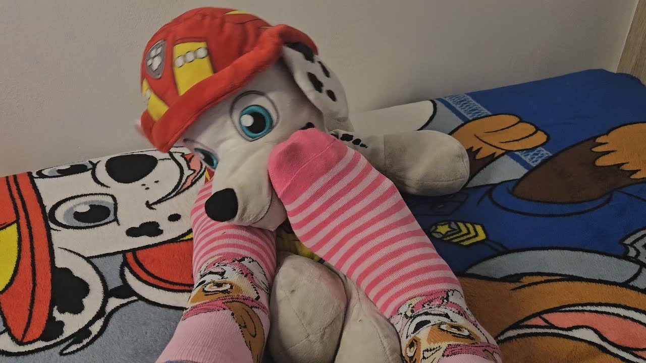 Paw Patrol Plush Trample with Socks