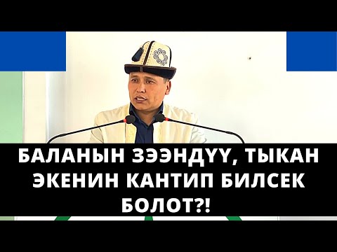 Video: Издөө таржымалын кантип тазалоо керек