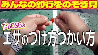 【海上釣堀：エサ】みんなエサどうつけてます？