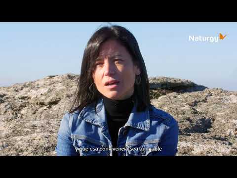 Parques eólicos de Naturgy en Galicia | Somos uno más en el territorio