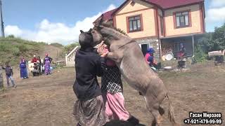 Свадьба в селе Дзилебки 09. 07. 2017