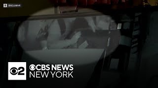 Video shows burglary, vandalism at Hell's Kitchen businesses