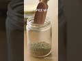 Miracle CCF tea for detox. good sleep and boost immunity