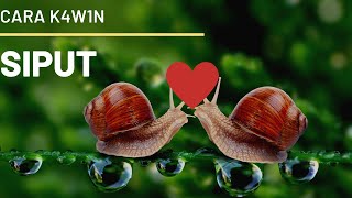 Beginilah Siput K4W1N Digesek-Gesek Dulu