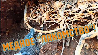 видео: МЕДНЫЕ КАБЕЛЯ В ЭЛЕКТРОДАХ!СВАЛКА СССР/WELDING CABLES IN ELECTRODES/127/ картинка: МЕДНЫЕ КАБЕЛЯ В ЭЛЕКТРОДАХ!СВАЛКА СССР/WELDING CABLES IN ELECTRODES/127/