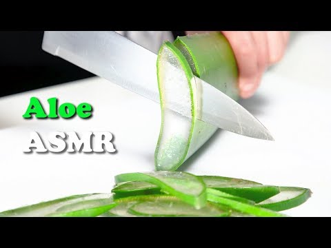 Aloe Vera Cutting l ASMR