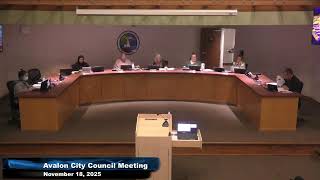 November 18, 2025, City Council Meeting