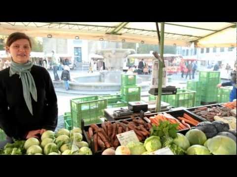 berufsvorstellung---gemüsegärtner