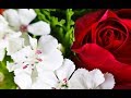 Download Ömer Yıldırım '' Ya İlahi Senden Bir Dileğim Var '' Ömer Yıldırım '' Ya İlahi Senden Bir Dileğim Var ''