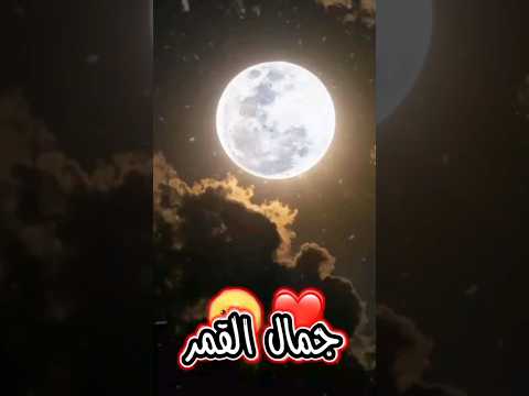 فيديو عن قمر بني هاشم جمال القمر الإمام العباس ع قناتي 