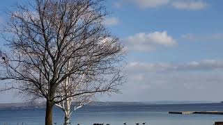 Flock of geese coming in for a landing on Lake Charlevoix 12-20-2020 by PrettySlick2 23 views 3 years ago 21 seconds