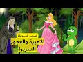 قصة الاميرة والعجوز الشريرة مجموعة قصص السلحفاة