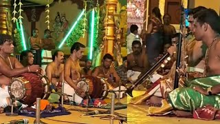 Sri Ganapathini _ Sowrashtra _ #thyagaraja  Nadhaswaram #artist TKS Menashisundaram#team
