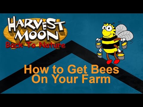 Harvest Moon Back To Nature Honey