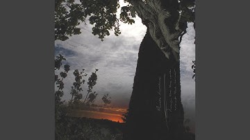 Imprecise and then less so