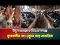 ঈদুল আযহাকে ঘিরে রূপগঞ্জে কুরবানীর পশু প্রস্তুতে ব্যস্ত খামারিরা | Rupganj | Eid-ul-Adha | Qurbani