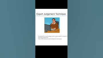 Estimation Technique: Expert Judgement #softwaredevelopment #projectmanagement #agile #estimation