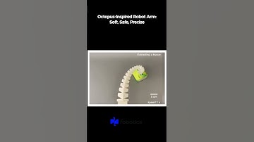 Octopus-Inspired Robot Arm 🐙🤖 | Soft Robotics Innovation