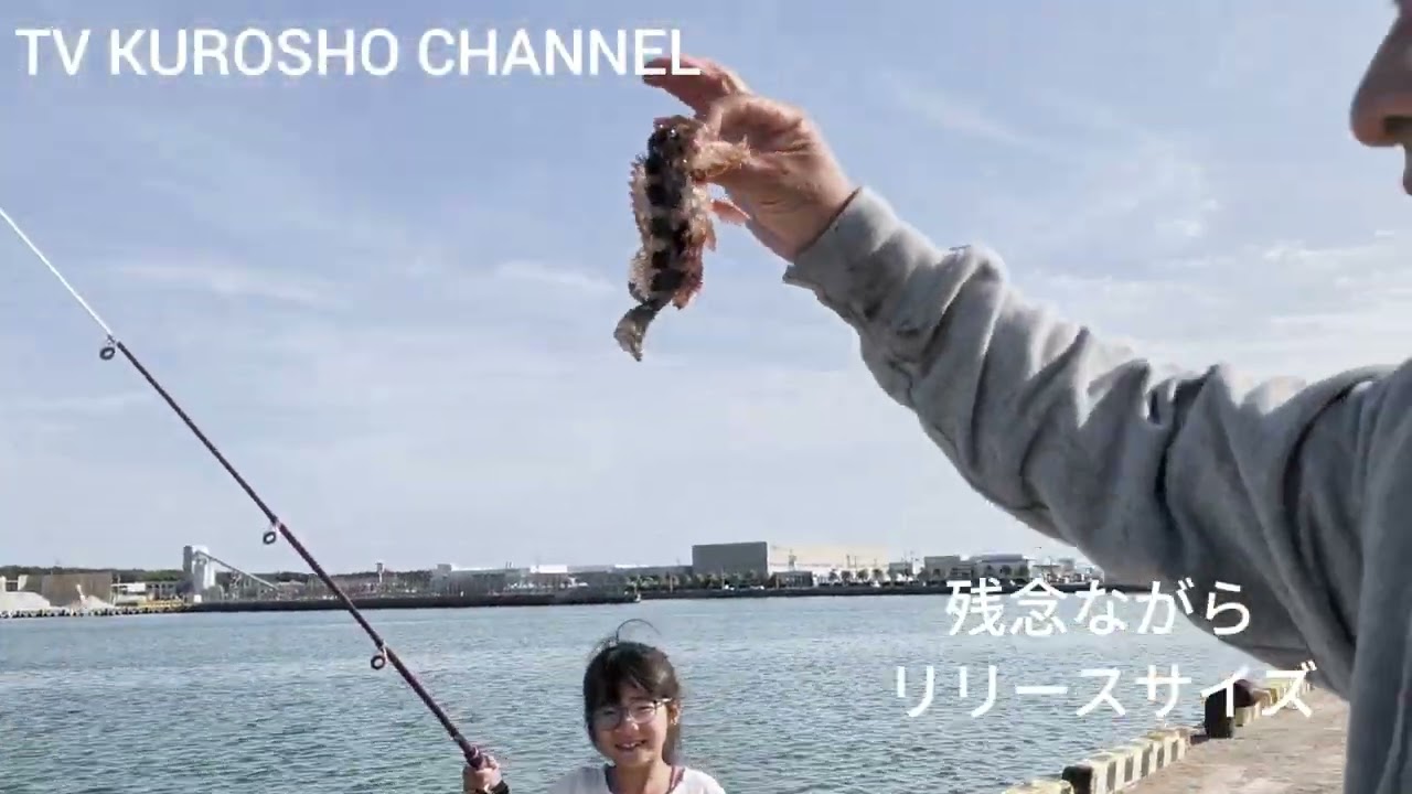 家族で魚釣り　3月1日　宮崎県　宮崎港　＃釣り