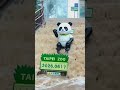 2026/06/18 Taipei