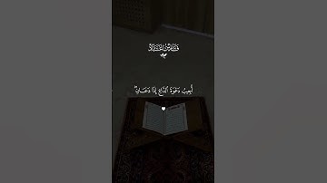 تلاوه خاشعه فارس عباد#قران #فارس_عباد  #quran #قران_كريم #تلاوة_خاشعة