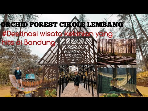 Orchid Forest Cikole Lembang Destinasi Wisata Kekinian Yang