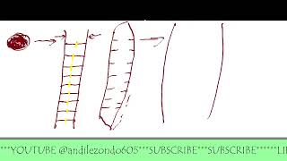9. DNA REPLICATION RECAP. GRADE 12 LIFE SCIENCES