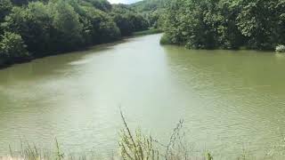 Jezero Bela Reka Radljevo by Ljubitelj Prirode 47 views 1 year ago 31 seconds