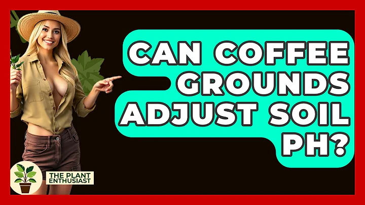 Can Coffee Grounds Adjust Soil PH? - The Plant Enthusiast
